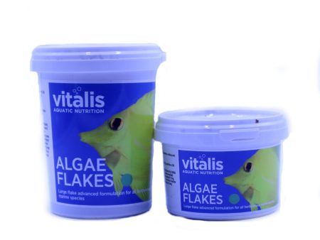 Algae Flakes Fashion